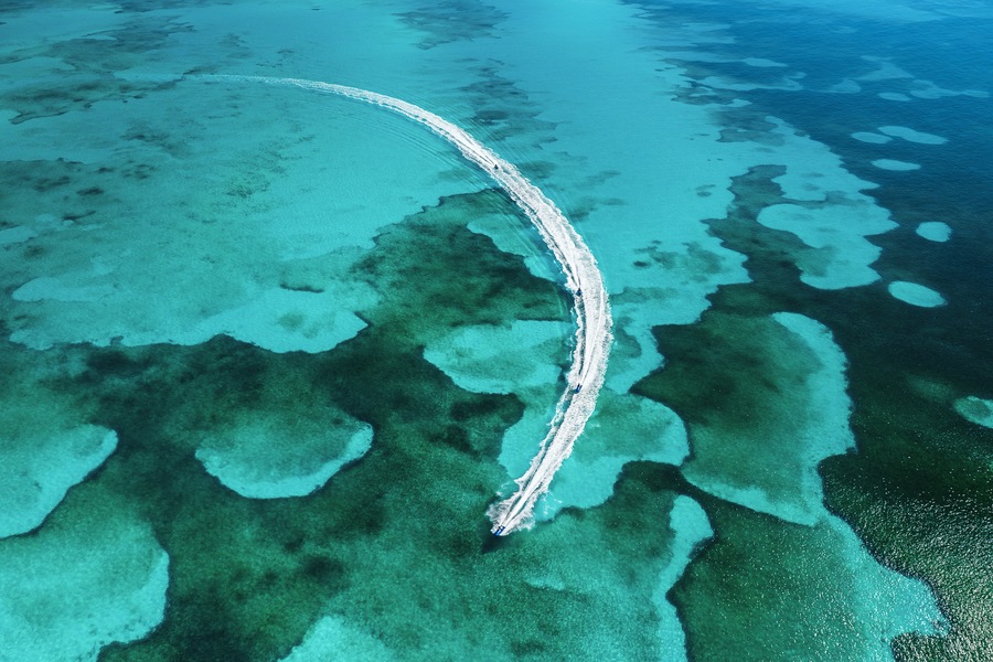 MSC Cruises Bahamas Ocean Cay MSC Marine Reserve Waverunner ©Conrad Schutt MSC Rights.jpg